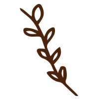 Maceta colgante para plantas aromáticas, ramilletes