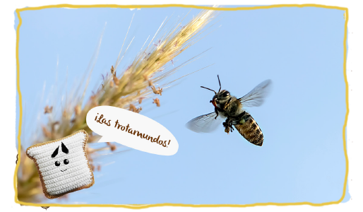 Las curiosidades más curiosas de las abejas 2