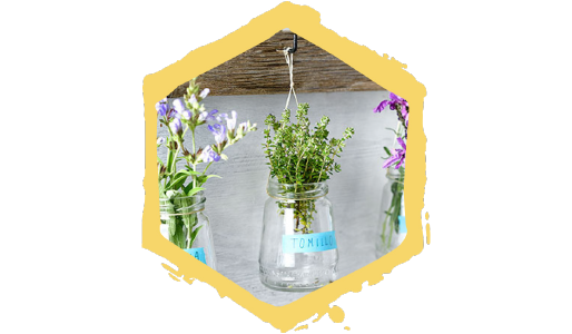 Maceta colgante para plantas aromáticas, paso 5