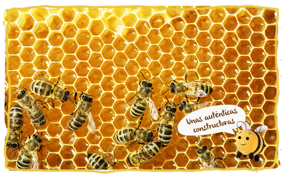 Las abejas arquitectas
