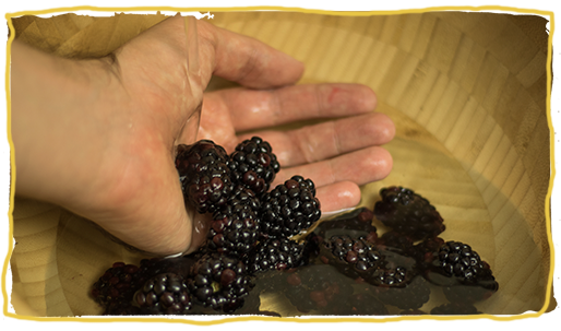Mermelada de moras con miel, paso 1