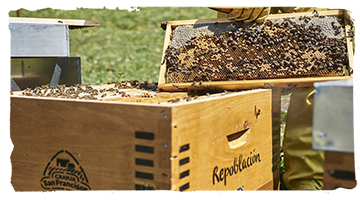 La apicultura ecológica
