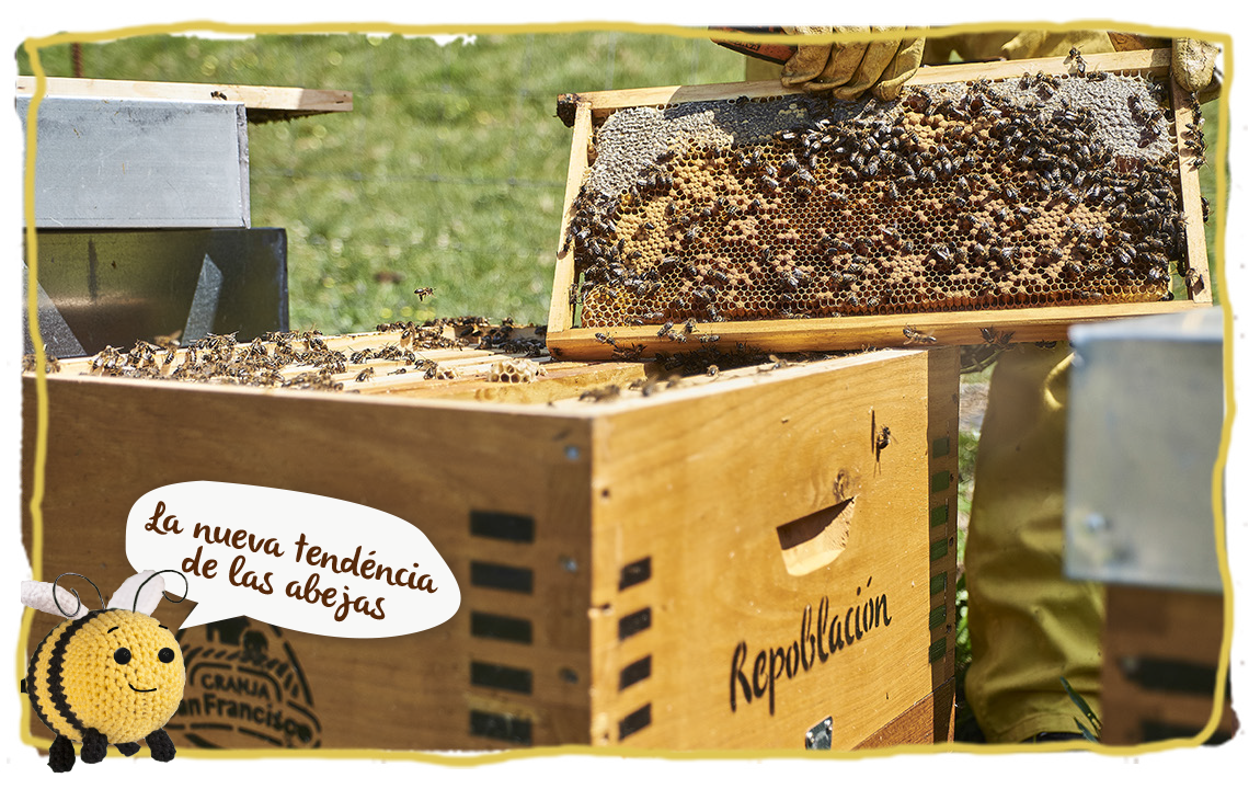 La apicultura ecológica, repoblación