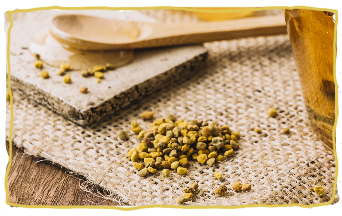 Las propiedades de los granos de polen de abejas, grano de polen