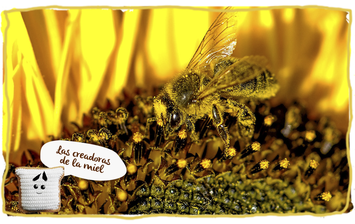 ¿Cómo hacen la miel las abejas?, creadoras de miel