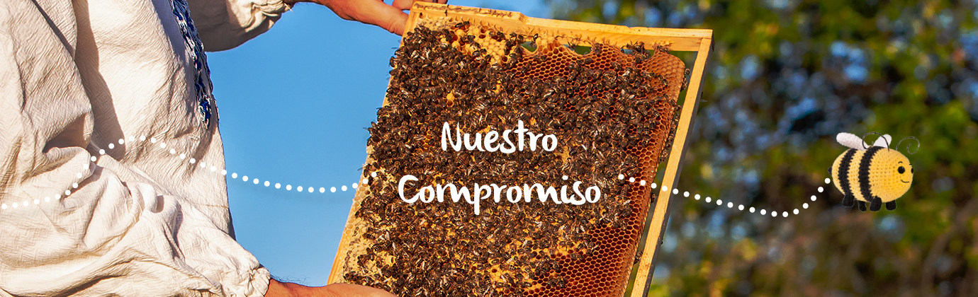 HEADER_COMPROMISO