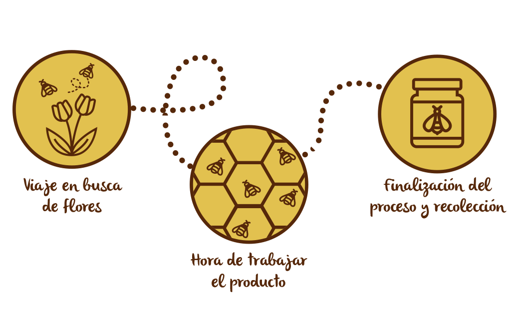 El proceso de la recolección de miel, proceso