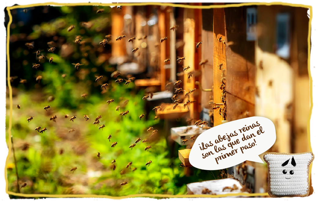 ¿Cómo se aparejan las abejas?