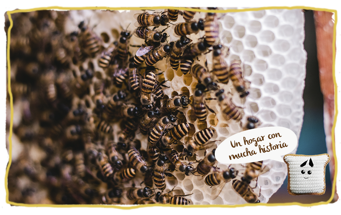 Los tipos de colmena de abejas