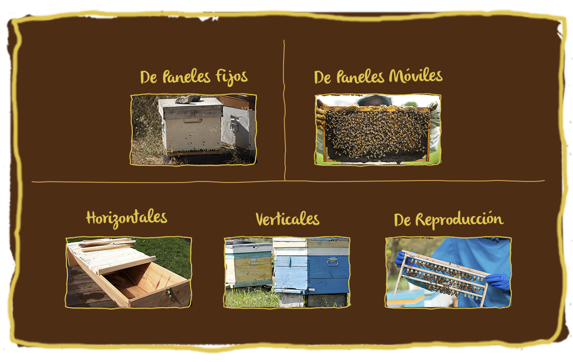 Los tipos de colmena de abejas, panales