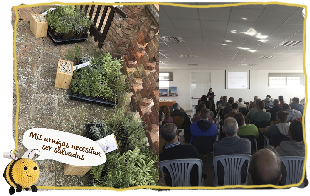 ¿Cómo ha funcionado nuestro Proyecto HA-BEE-TAT: cultivando polinizadores?