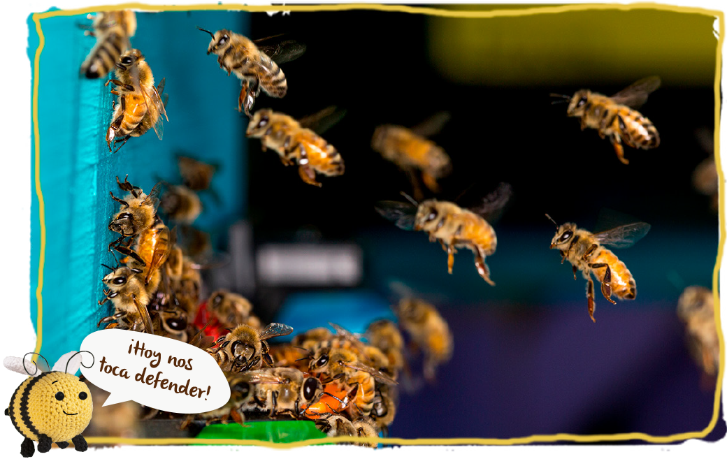 La picadura de abeja