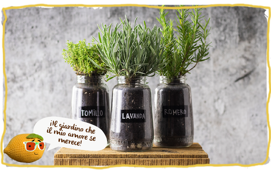 Crea tu propio jardín casero de hierbas aromáticas, bodegón