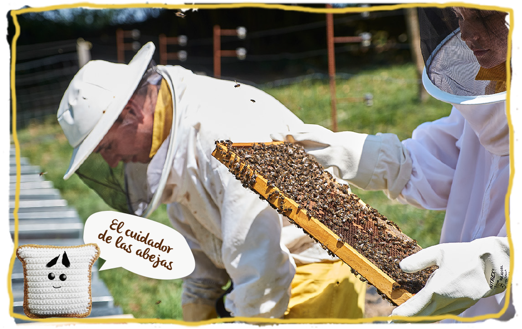 ¿Cómo se recolecta la miel de abeja? apicultores
