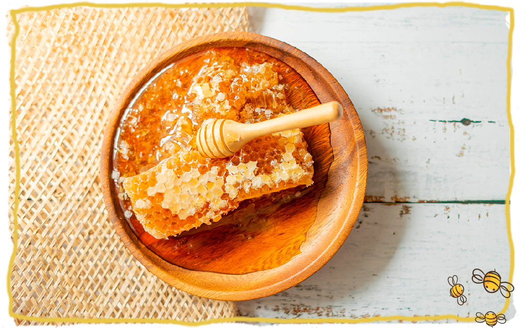 ¿Cómo se recolecta la miel de abeja? miel