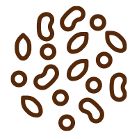 Bagels de miel, semillas amapola